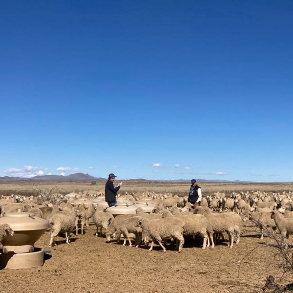 Agriculture régénératrice process l Segard Masurel