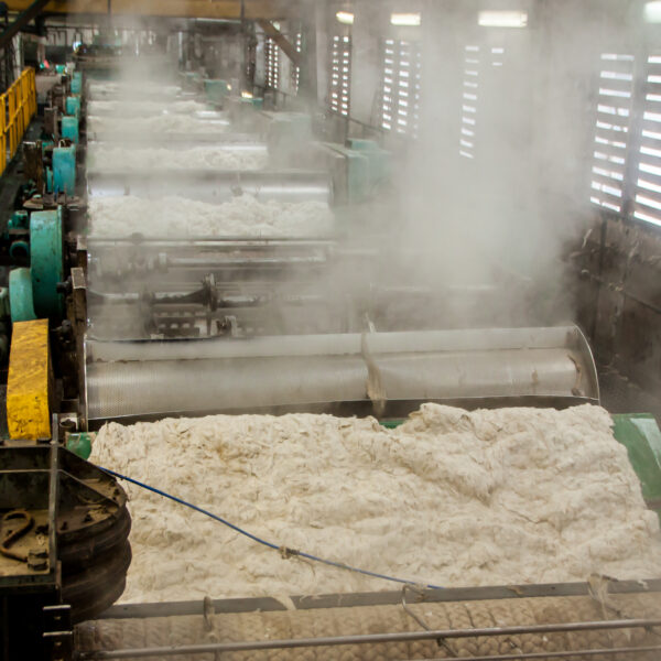 Laine lavée process l Segard Masurel