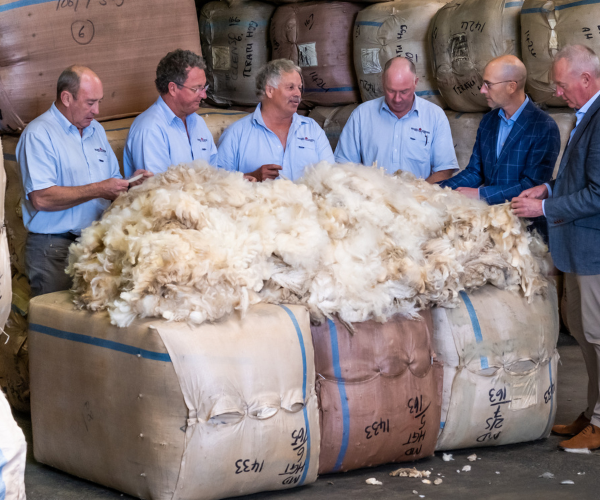 Segard Masurel. collecting wool