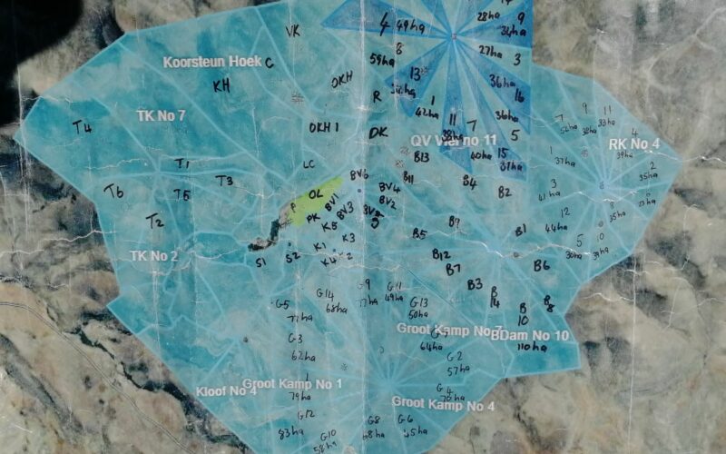 regenerative practices