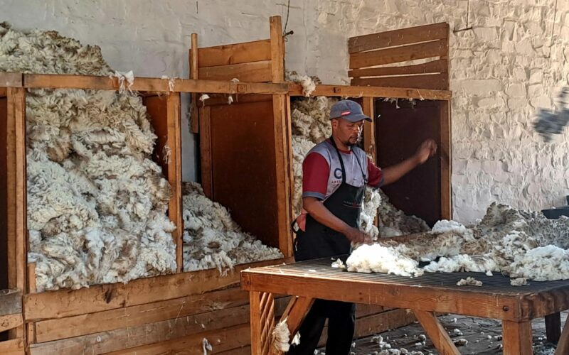 wool supplier
